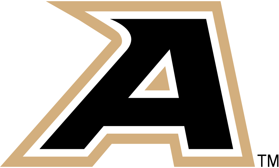 Army Black Knights 2006-2014 Secondary Logo iron on transfers for clothing